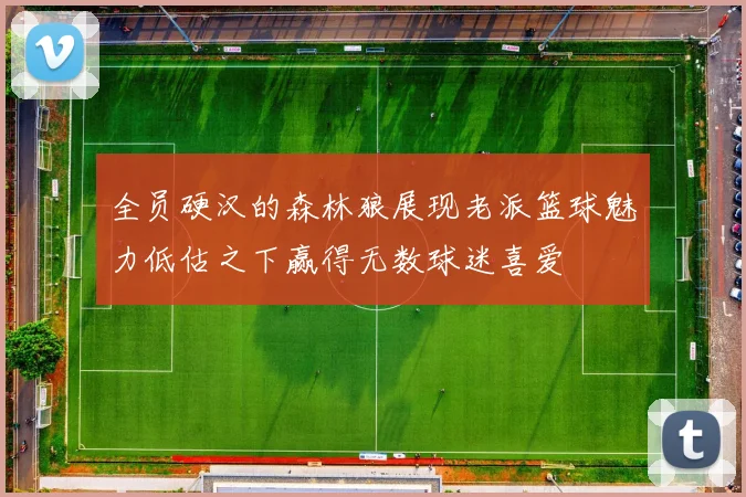 全员硬汉的森林狼展现老派篮球魅力低估之下赢得无数球迷喜爱